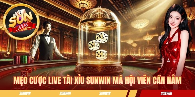 Mẹo cược live tài xỉu SUNWIN mà hội viên cần nắm