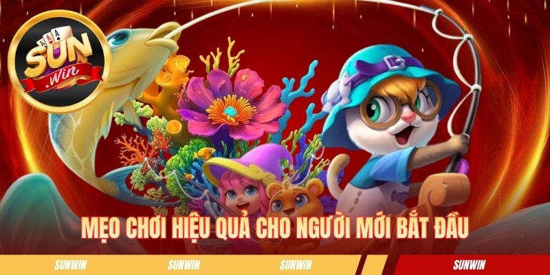 Mẹo chơi hiệu quả cho người mới bắt đầu