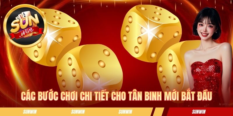 Các bước chơi chi tiết cho tân binh mới bắt đầu