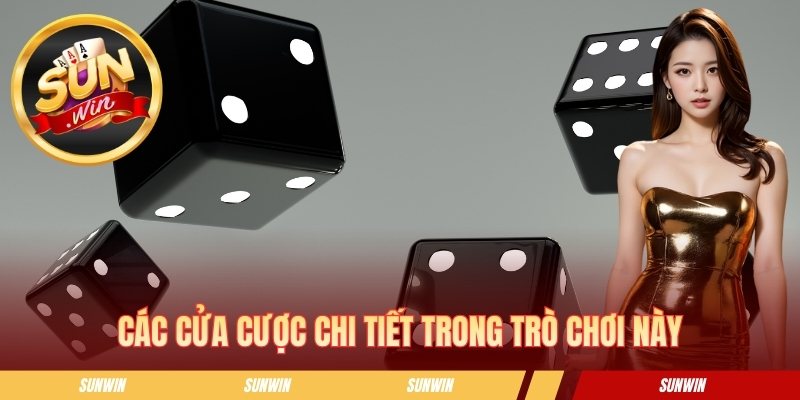Các cửa cược chi tiết trong trò chơi này